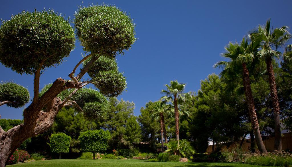Jardines De Amaltea Hotel Lorca Kültér fotó